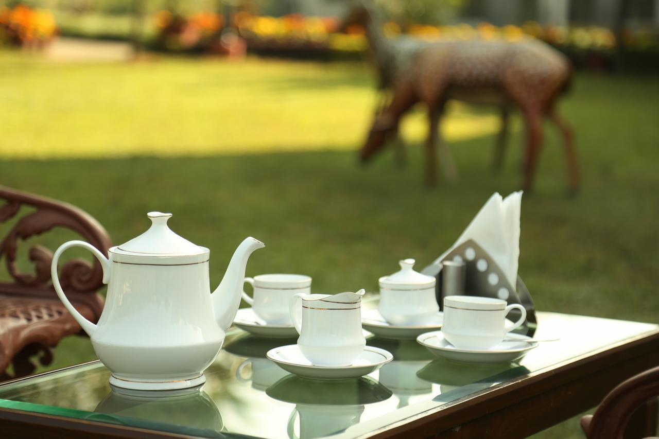 Rishīkesh Naturoville Ayurvedic And Yoga Retreat酒店 外观 照片