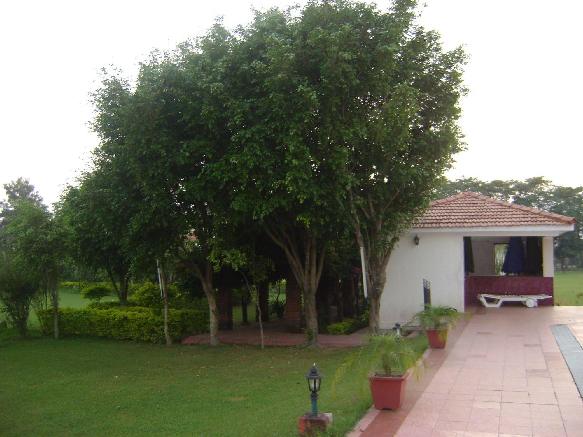 Rishīkesh Naturoville Ayurvedic And Yoga Retreat酒店 外观 照片